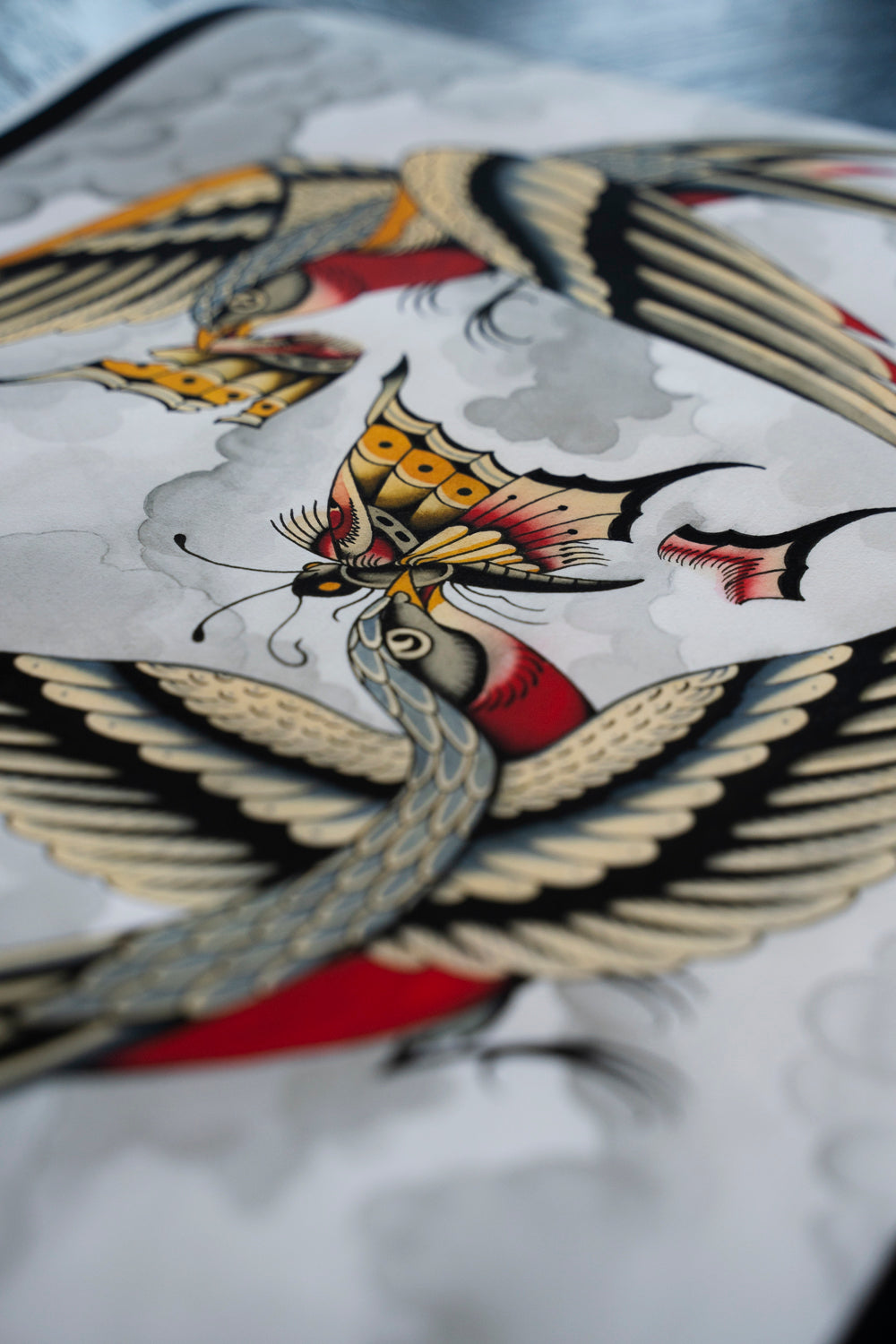 swallows-vs-butterfly